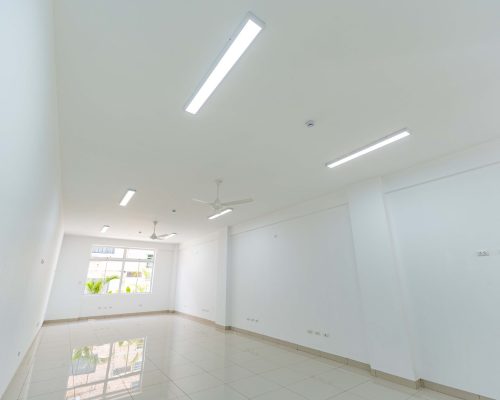 ofi1 (OPTI)
