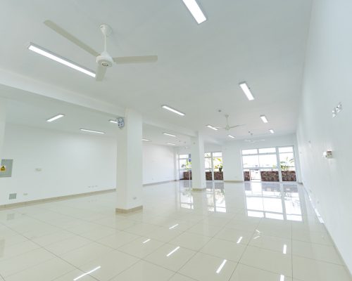 ofi1 (OPTI)