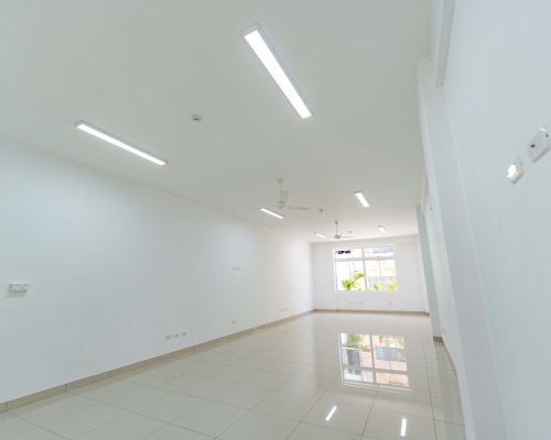 ofi2 (OPTI)