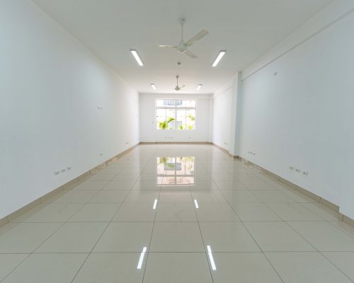 ofi3 (OPTI)
