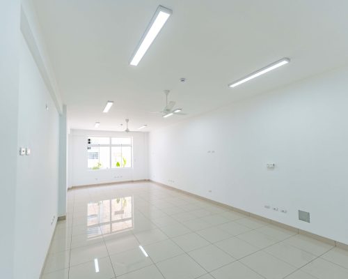 ofi3 (OPTI)