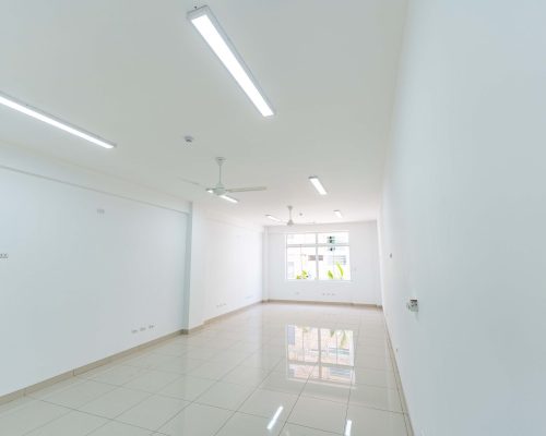 ofi4 (OPTI)